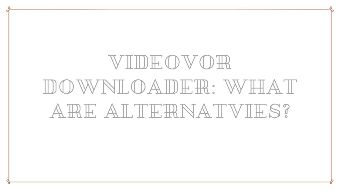 Videovor Downloader What are Alternatives