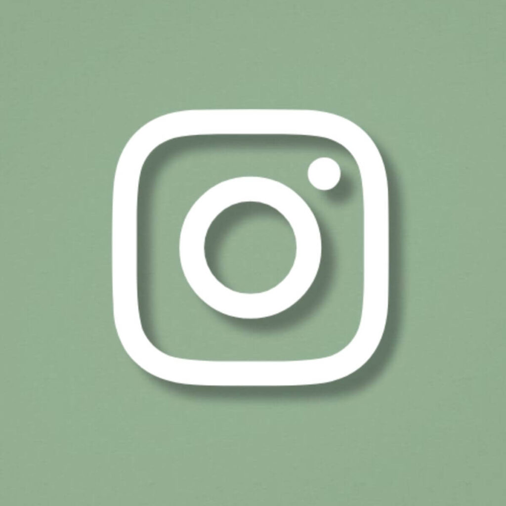 Instagram Icon Aesthetic Green