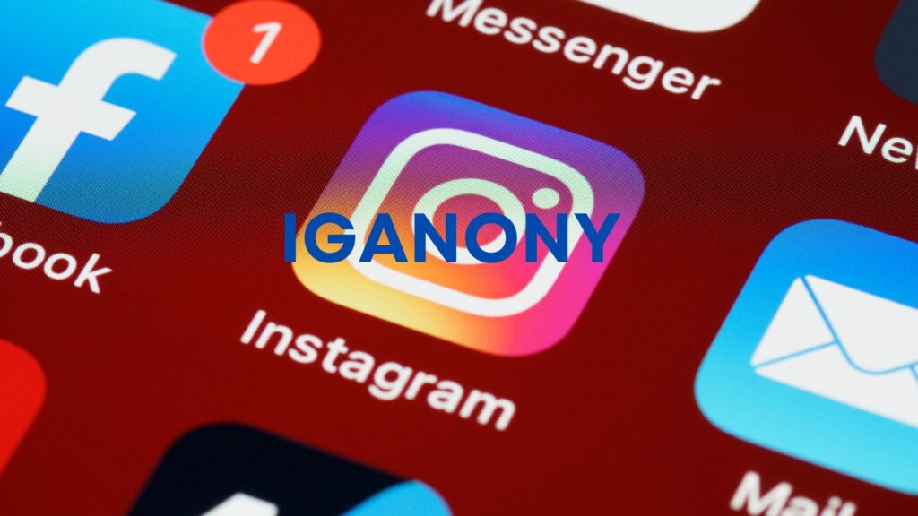 IgAnony: An Ultimate Instagram Story  Viewer