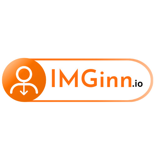 Imginn logo